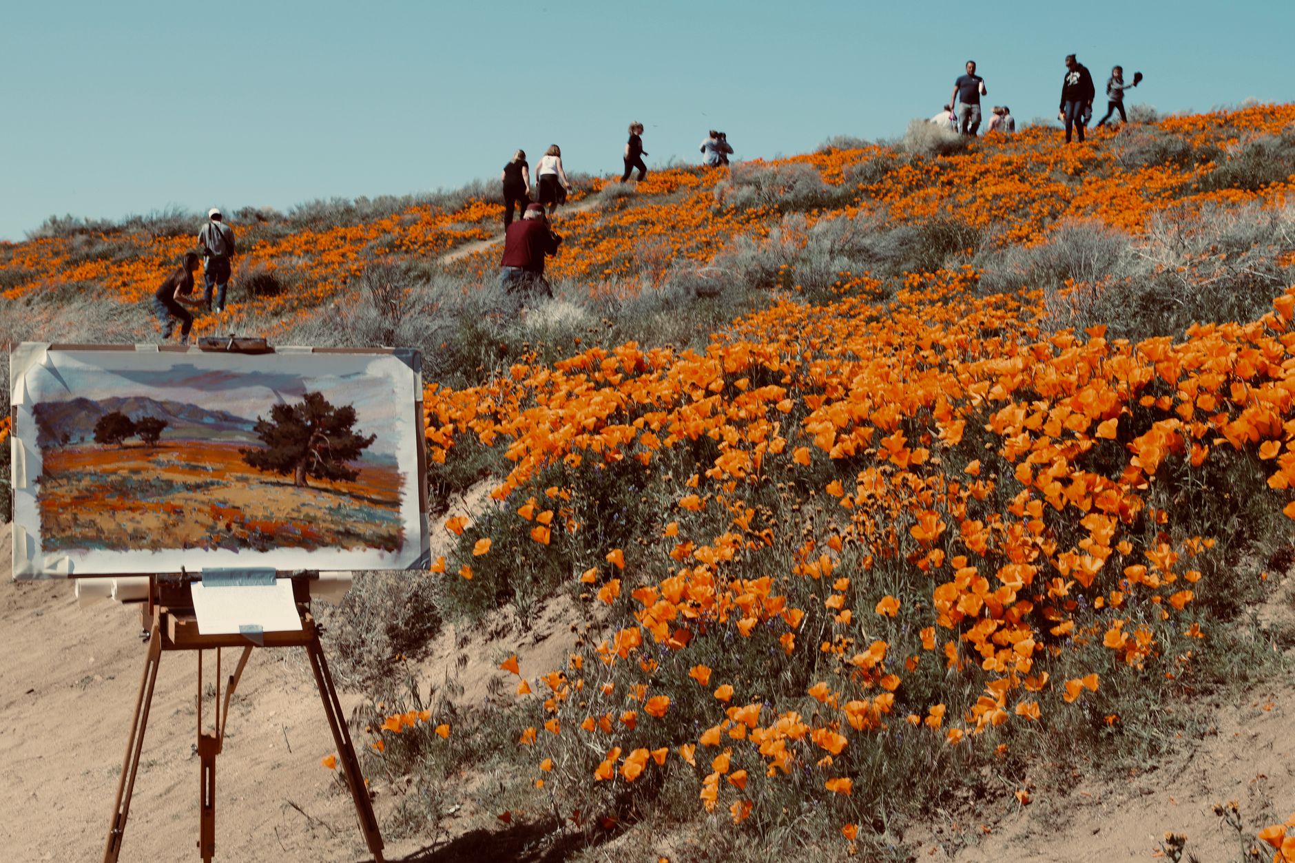 Paintbrushes and colourful paint